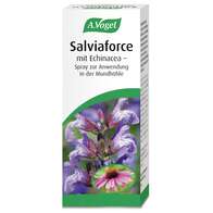 A.Vogel Salviaforce  mit Echinacea  Spray zur Anwendung in der Mundhöhle